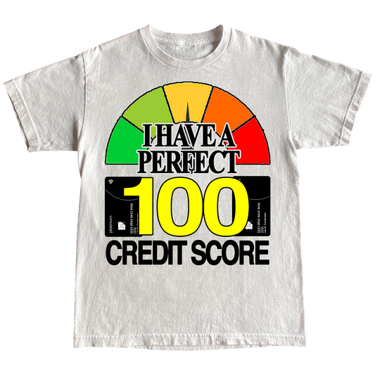 "CREDIT SCORE" 6oz T-SHIRT